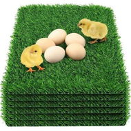 Detailed information about the product 30*30cm Chicken Nesting Box Pads Thick Artificial Grass for Chicken Coop Bedding