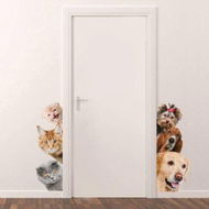 Detailed information about the product 3D Wall Stickers Cats Dogs PVC Self Adhesive Removable DIY Decoration