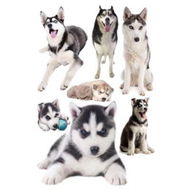 Detailed information about the product 3D Wall Stickers Dogs PVC Self Adhesive Removable DIY Decoration Husky