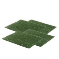 Detailed information about the product 4 Grass Mats 63.5cm X 38cm For Pet Dog Potty Tray Training Toilet.