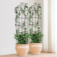 Detailed information about the product 4 Packs Metal Garden Trellis for Climbing Plant Support 71x20 in Rustproof