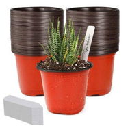 Detailed information about the product 4 Small Plastic Plant Nursery Pot/Pots Seedlings Flower Plant Container Seed Starting Pots Indoor Outdoor (100pcs Pots and 100pcs Plant Labels)