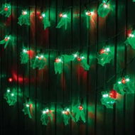 Detailed information about the product 40 Pack LED Holly Lights