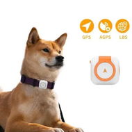 Detailed information about the product 4G GPS Electric Fence Pet Tracker Collar Dogs Cats Real Time Monitoring NANO SIM 4G 5G Signal Disease Prediction Motion Data Historical Tracking Doodle App