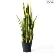 Detailed information about the product 50cm Artificial Indoor Yellow Edge Tiger Piran Fake Decoration Tree Flower Pot Plant