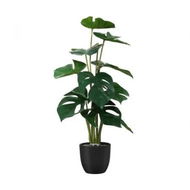 Detailed information about the product 50CM Artificial Tree Fake Plants Home Decor