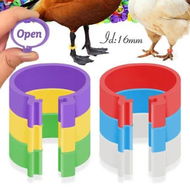 Detailed information about the product 50pc 16mm Poultry Clasp Foot Ring Without Text Colourful Chicken Clip Animal Identification Tool Rings for Farm Leg Chick Duck Goose