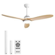 Detailed information about the product 52'' Ceiling Fan LED Light DC Natural