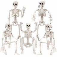 Detailed information about the product 5 Pcs Halloween Skeleton Decoration 16