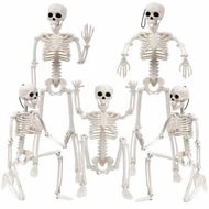 Detailed information about the product 5pcs Halloween Skeleton Decoration,16In Full Body Posable Halloween Hanging Skeleton Decoration with Movable Joints