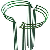 Detailed information about the product 6-Pack Metal Plant Support Stakes for Peonies and Other Garden Plants