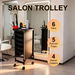 6 Tier Hair Salon Trolley Spa Beauty Parlor Hairdressing Tool Rolling Pull Out Trays Storage Cart Mobile Work Station Barber Stylist Tattoo Nail Shop. Available at Crazy Sales for $69.95