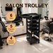 6 Tier Hair Salon Trolley Spa Beauty Parlor Hairdressing Tool Rolling Storage Cart Trays Mobile Work Station for Barber Stylist Tattoo Nail Shop Club. Available at Crazy Sales for $79.95
