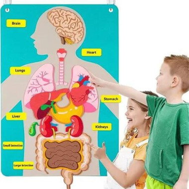 77x51cm Teaching Body Parts Felt Board Stories for Toddlers Arts Crafts Toys Kids Sensory Activities Teacher Daycare Supplies
