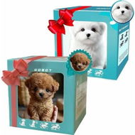 Detailed information about the product AI Robot Dog,Nicco-My Realistic Robot Puppy,RobotPuppy That Acts Like a Real Puppy,Walking/Barking/Tail Wagging,Interact Like a Real Pet for Pet Lovers