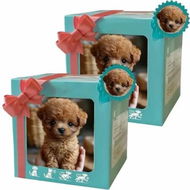 Detailed information about the product AI Robot Dog,Nicco-My Realistic Robot Puppy,RobotPuppy That Acts Like a Real Puppy,Walking/Barking/Tail Wagging,Interact Like a Real Pet for Pet Lovers