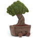 Amuseable Bonsai Tree 31cm. Available at Crazy Sales for $139.95