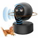 Anti Barking Device Dog Bark Deterrent Simulated Surveillance Camera Bark Control Device Dummy Security Dogs Silencer Indoor Outdoor(Black). Available at Crazy Sales for $44.99