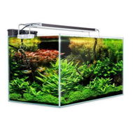 Detailed information about the product Aquarium Starfire Glass Aquarium Fish Tank 70L