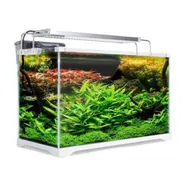 Detailed information about the product Aquarium Starfire Glass Fish Tank Set Filter Pump 39L