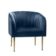 Detailed information about the product Armchair Lounge Chair Accent Chairs Velvet Armchairs Sofa Couches Blue