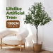 Artificial Olive Tree Imitation Plant Fake Green Faux Potted Indoor Greenery Natural Decoration Home Office Lifelike Fruit Leaves 150cm. Available at Crazy Sales for $59.95