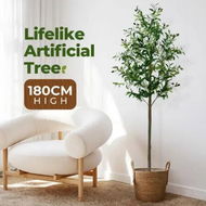 Detailed information about the product Artificial Olive Tree Plant Pot Imitation Green Fake Faux Natural Indoor Decor Home Office Lifelike Fruit Leaves 180cm Tall Sitting Room Houseplants