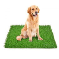 Detailed information about the product Artificial Turf Pet Grass Mat Replacement For Puppy Potty Trainer