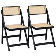 Detailed information about the product Artiss 2x Dining Chairs Wooden Rattan Foldable Black