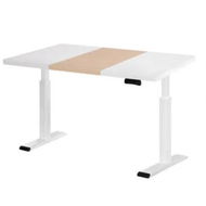 Detailed information about the product Artiss Standing Desk Motorised Dual Motor 120CM