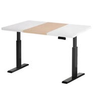 Detailed information about the product Artiss Standing Desk Motorised Electric Dual Motor 120CM