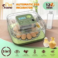 Detailed information about the product Auto Egg Incubator 12 Eggs Hatcher Breeder Automatic Turner Stop Humidity Control Hatching Chicken Duck Bird Quail Poultry Water Refill Candling Light