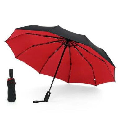 Automatic Umbrella with Double Layer for Men and Women, Windproof, Stylish & Durable