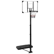 Detailed information about the product Basketball Stand Transparent 256-361 cm Polycarbonate