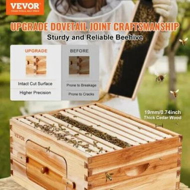 Bee Hive Deep Box Starter Kit, 100% Beeswax Coated Natural Cedar Wood, Langstroth Beehive Kit with 10 Frames and Foundations, Transparent Acrylic Bee Windows for Beginners and Pro Beekeepers