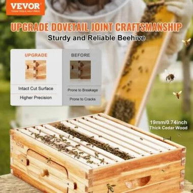 Bee Hive Medium Box Starter Kit, 100% Beeswax Coated Natural Cedar Wood, Langstroth Beehive Kit with 10 Frames and Foundations, Transparent Acrylic Bee Windows for Beginners and Pro Beekeepers