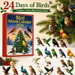 Bird Lovers Advent Calendars, 24 Day Christmas Countdown Calendar with 2D Acrylic Bird Pendants for Christmas Tree Decorations. Available at Crazy Sales for $14.95