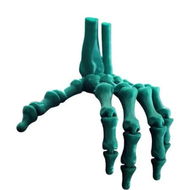 Detailed information about the product Blue 3D Printed Skeleton Hand Realistic Movable Halloween Finger Bones for Party Decorations Gift