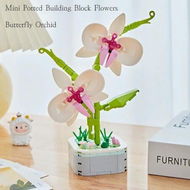 Detailed information about the product Building Block Flower Bouquet Building Sets DIY Creative Potting Building Blocks Flowers Artificial Flower Toy Gifts(Butterfly Orchid)