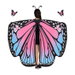 Butterfly Wings Ladies Cape Pixie Nymph Halloween Costume Accessory. Available at Crazy Sales for $26.99