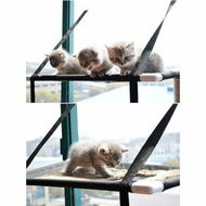 Detailed information about the product Cat Nest Hanging Cup Suction Cup Window Removable Double Layer Cat Hammock