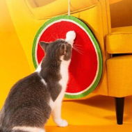 Detailed information about the product Cat Scratching Sisal Plate Cute Cushion Scratch Resistance Pet Scratching Toys