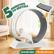 Detailed information about the product Cat Wheel Running Toy Exerciser Fitness Workout Treadmill Machine Indoor Feline Kitten Spinning Walking Training Kitty Play Gym Sports Circle Plastic