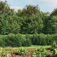 Detailed information about the product Chain Link Fence with Spike Anchors Green 1.4x10 m