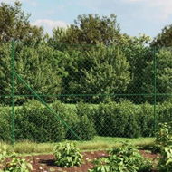 Detailed information about the product Chain Link Fence with Spike Anchors Green 1.4x25 m