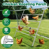 Detailed information about the product Chicken Bird Perch Roosting Bars Ladder Climbing Frame Farm Backyard Play Activity Chick Hen Coop House Run Poultry Pet Parrot 4 Tier Galvanized Pipe