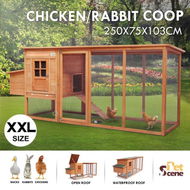 Detailed information about the product Chicken Run Coop Walk In House Rabbit Hutch Bunny Cage Duck Pet Hen Enclosure Outdoor Wooden Extra Long 250cm