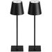 Cordless Rechargeable Table Lamp Black 5000mAh Battery Operated Lamps,3 Colors Stepless Dimming Touch Lamp,2 Pack. Available at Crazy Sales for $29.99