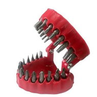 Detailed information about the product Denture Drill Bit Holder With Security Bit Set Teeth Model Organizer Design