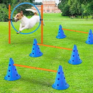 Detailed information about the product Dog Agility Hurdle Cone Set Portable Puppy Doggy Canine Training 30cm 6 Exercise Cones Rods Behaviour Correction Obedience